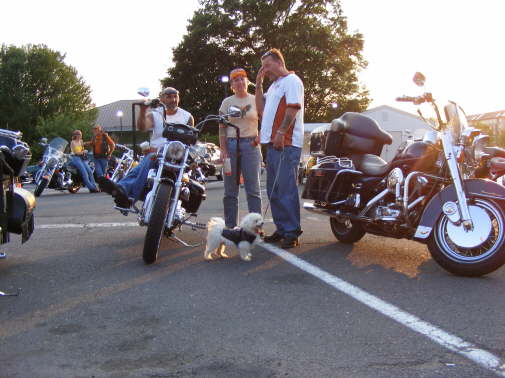 2008_0712BIKENIGHT0002