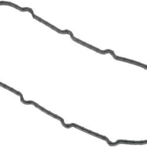 Fuel Pump Door Seal - Dyna