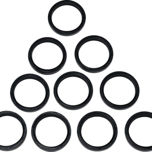 Fork Seals - 49 mm - 10-Pack