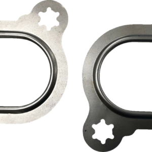 Head Pipe Port Gaskets