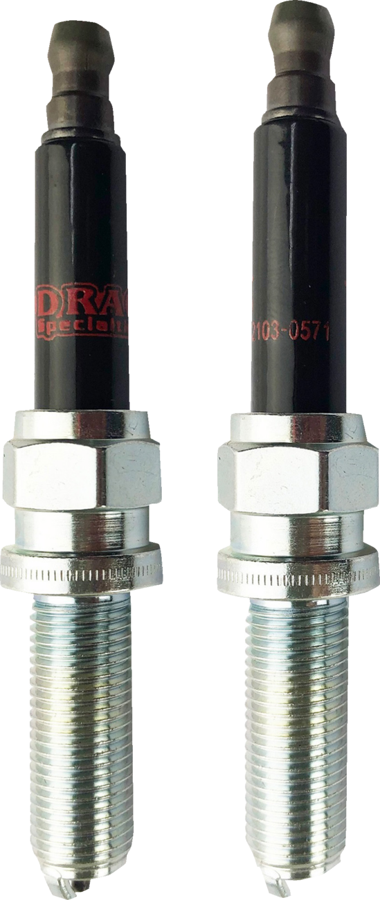 Spark Plug - R Max