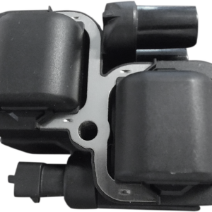 Ignition Coil - Black - Indian