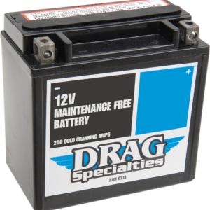 AGM Battery - YTX14LBS