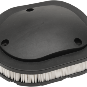 OEM Replacement Air Filter - Indian
