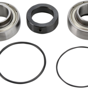 Chain Case Bearing and Seal Kit