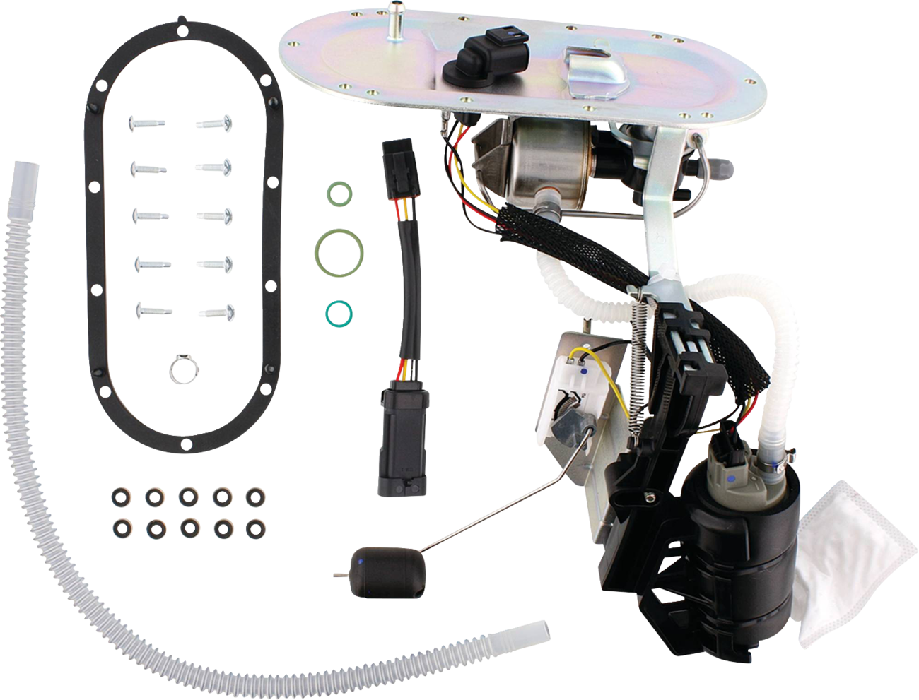 Fuel Pump Module Assembly - Touring