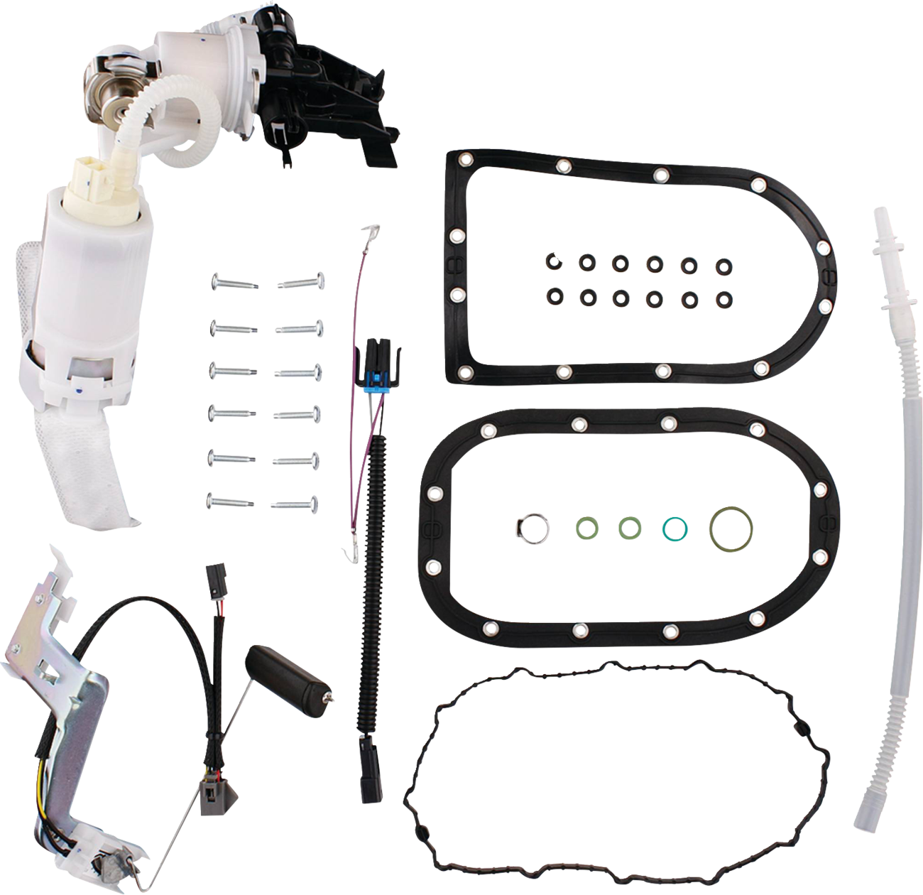 Fuel Pump Module Assembly - Dyna