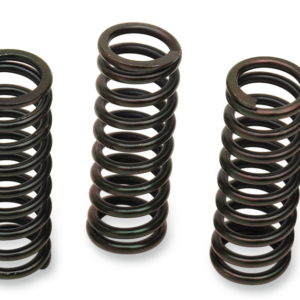 Clutch Spring Set - Honda/Triumph