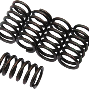 Clutch Springs