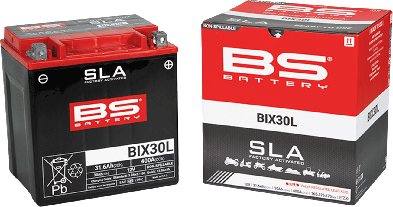 Battery - BIX30L (YIX)