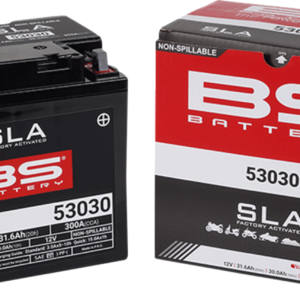 Battery - 53030