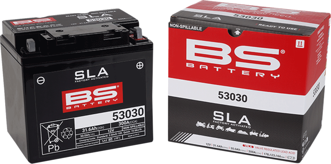 Battery - 53030