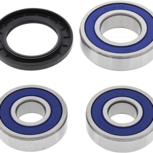 Wheel Bearing Kit - Rear - Kawasaki 750/900