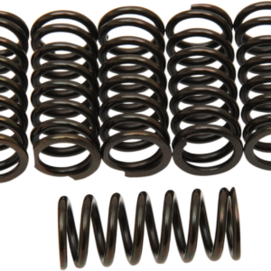 Clutch Springs - Yamaha