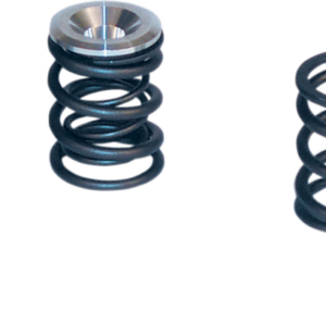 Valve Spring Kit - 0.550" Lift - Panhead | Shovelhead Engines '48-'84