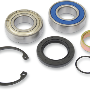 Chain Case Bearing and Seal Kit