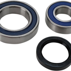 Chain Case Bearing and Seal Kit