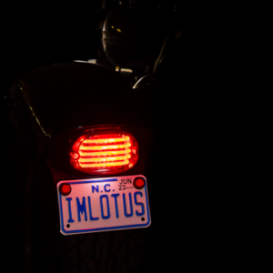 Taillight - with License Plate Illumination Window - Smoke