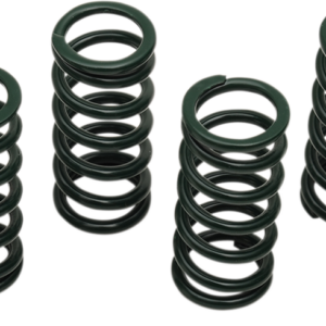 Clutch Springs - Suzuki