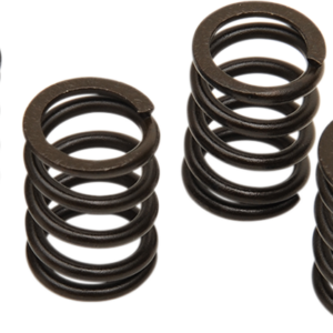 Clutch Spring Set - TL1000R/S