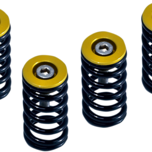 Clutch Springs