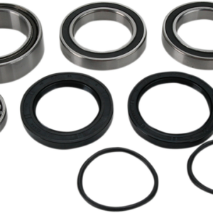 Chain Case Bearing and Seal Kit
