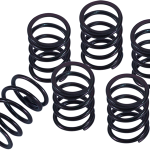 Clutch Spring Kit - Honda