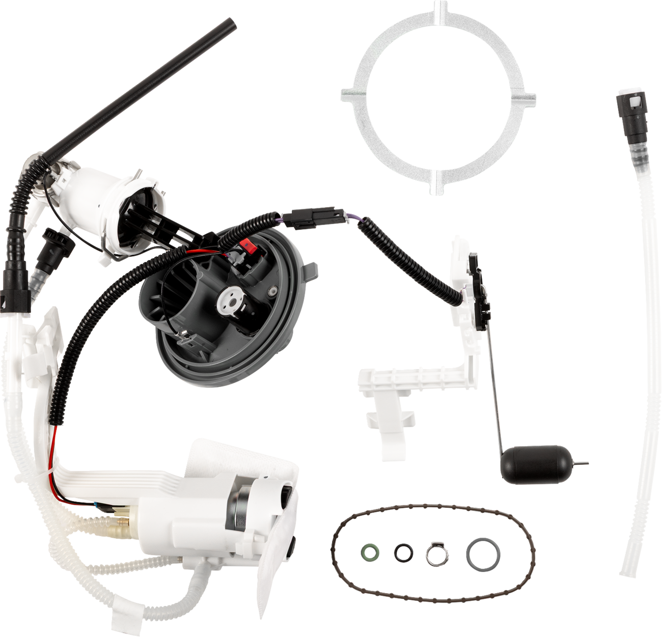 Fuel Pump Module Assembly - Touring/Trike