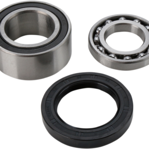 Chain Case Bearing and Seal Kit