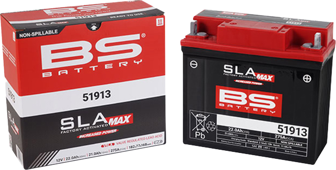 Battery - 51913