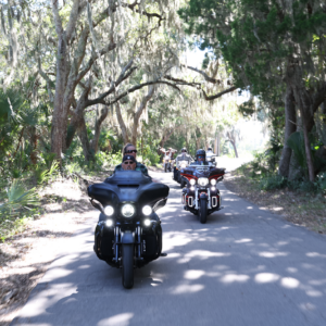 Shark Demon® 2 Headlight - Low Rider ST